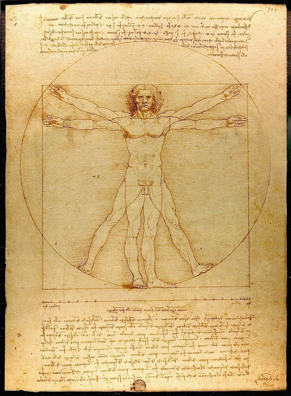 L'homme de Vitruve